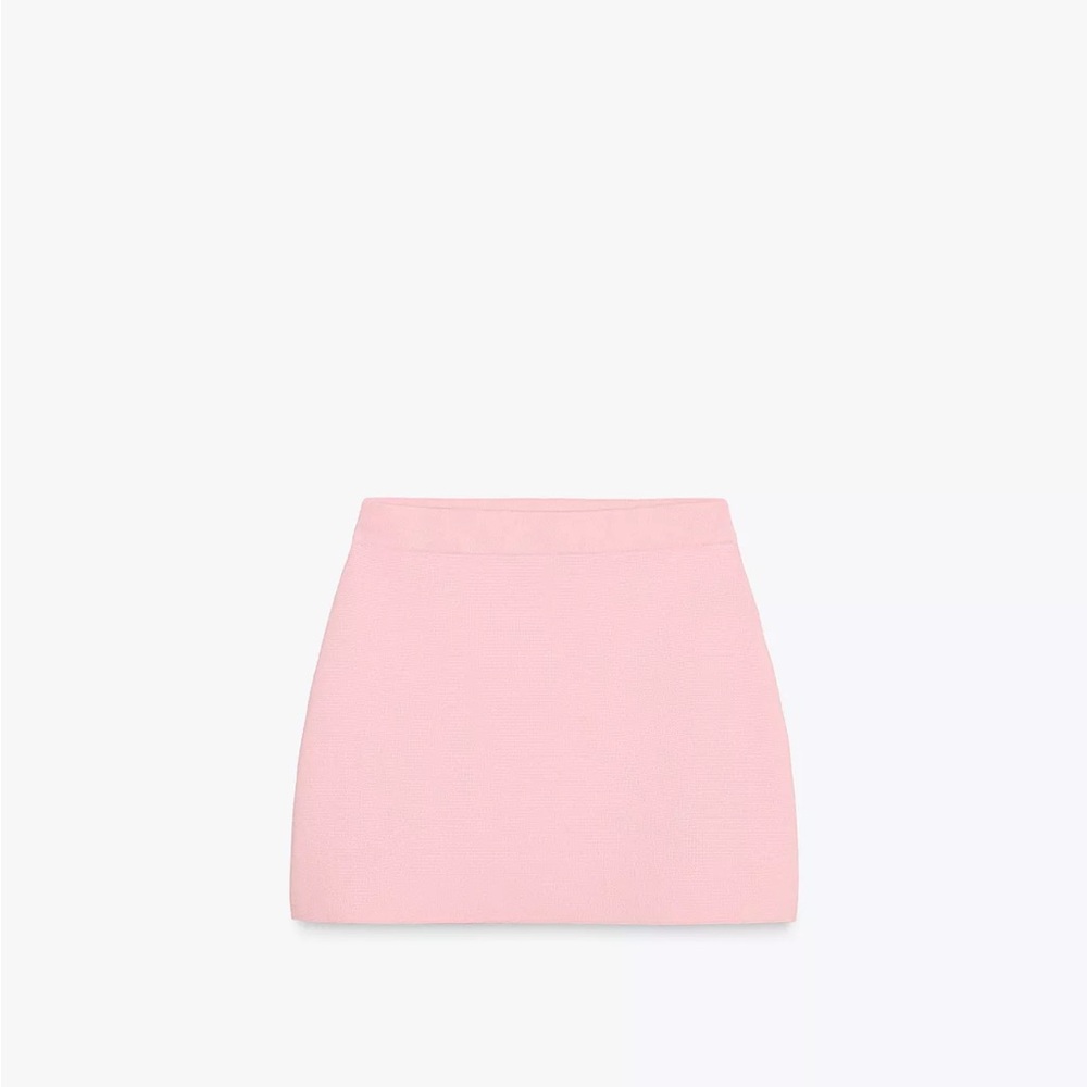 Elegant Pink Women's Skirt